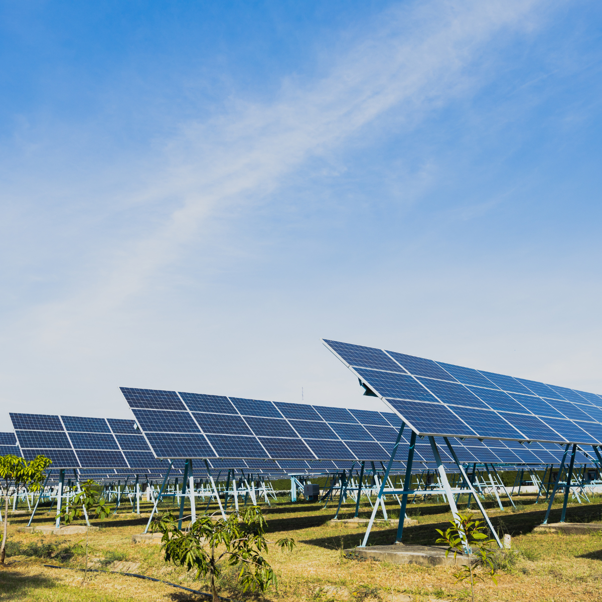 Fotowoltaika dla firm