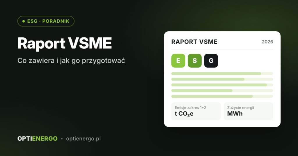Raport VSME – co zawiera i jak go przygotować